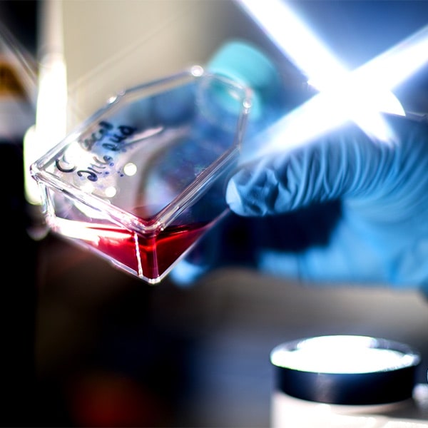 gloved hand holding beaker