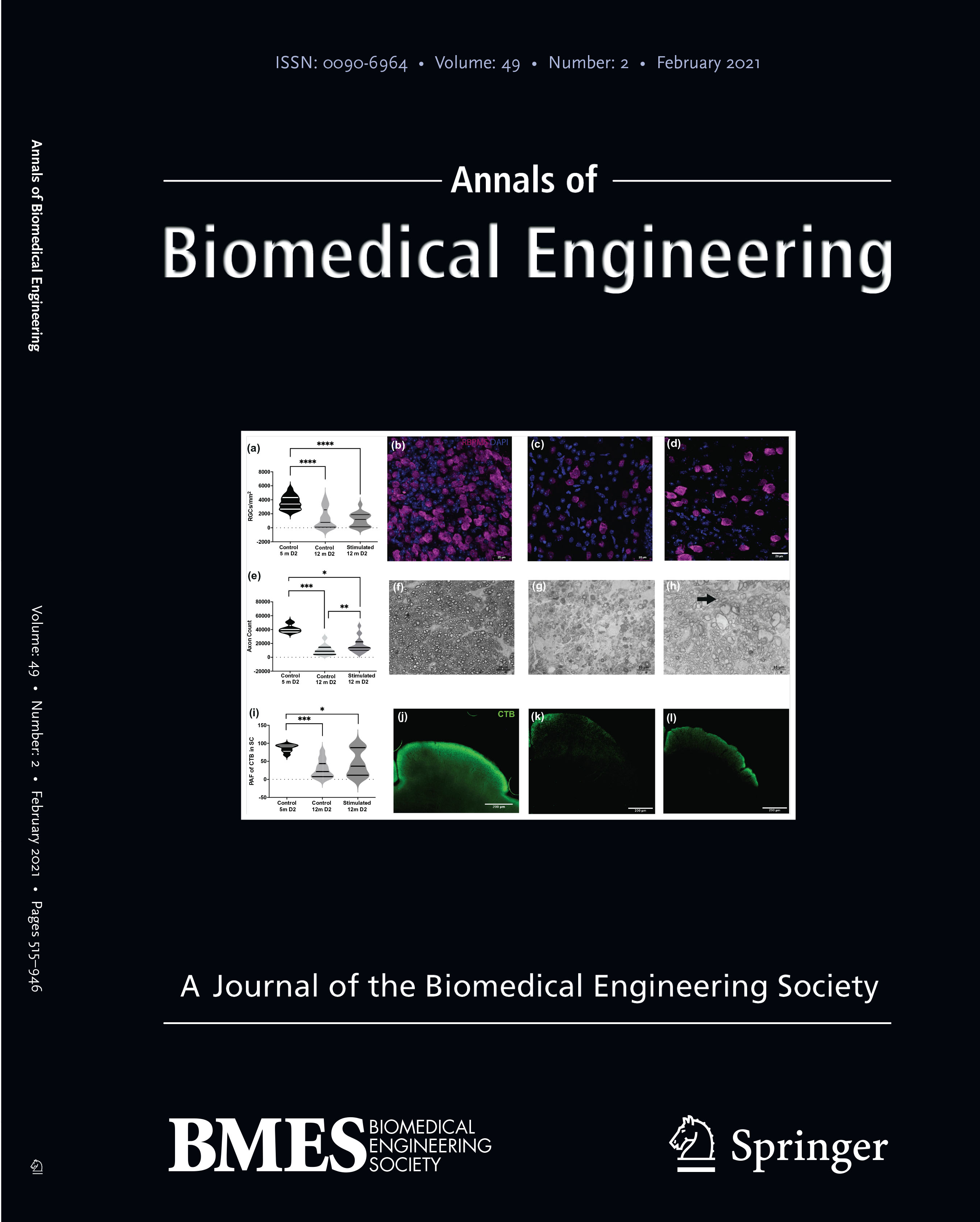 cover of research journal in BME