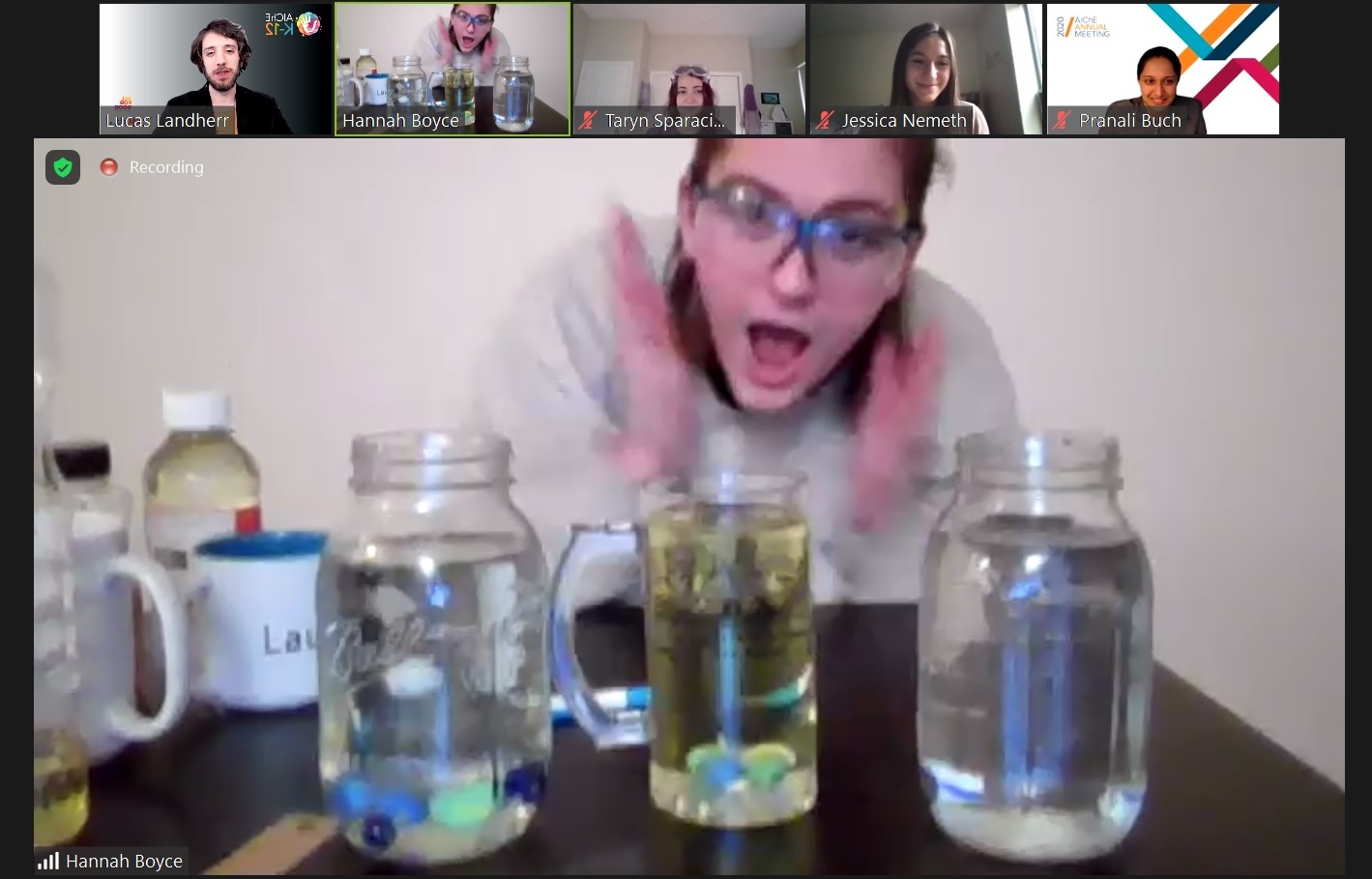 Zoom screen shot of virtual student participants