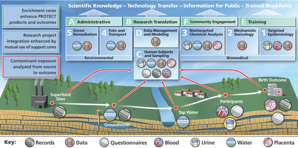 PROTECT uses a holistic system of research, training and stakeholder engagement to study contaminant exposure and its connection to preterm birth in Puerto Rico and beyond.