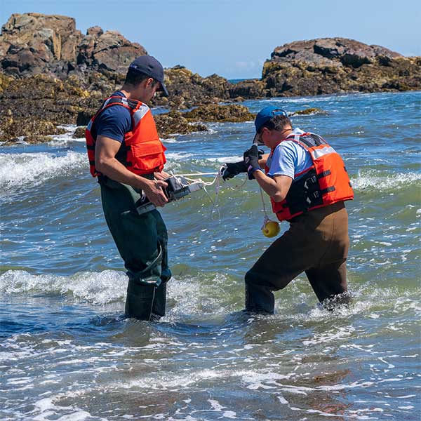 cityscape with graph overlay