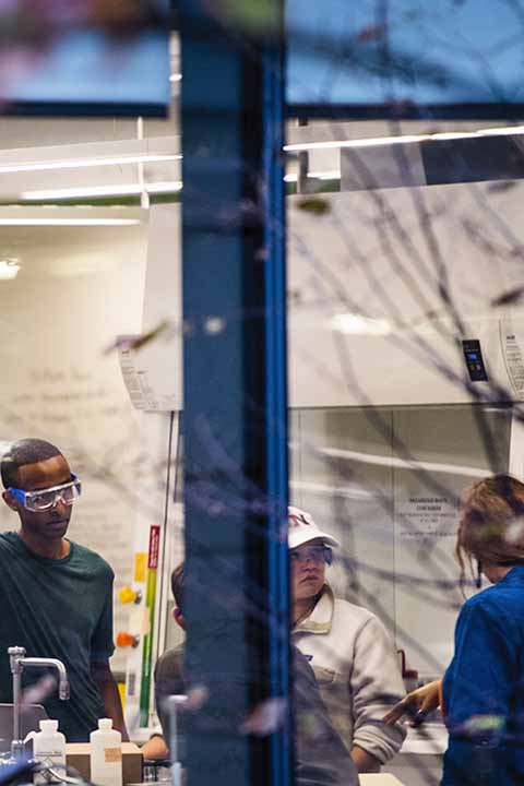 students working in lab