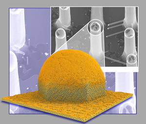 A droplet of liquefied metal collects vaporized silicon particles from the surrounding environment, spurring the synthesis of a silicon nano whisker that has a hexagonal cross section. Image courtesy of Moneesh Upmanyu.