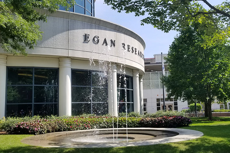 Egan