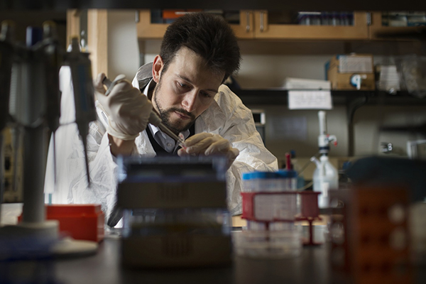 professor working in lab