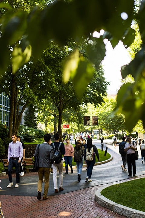 students on campus in front of trees