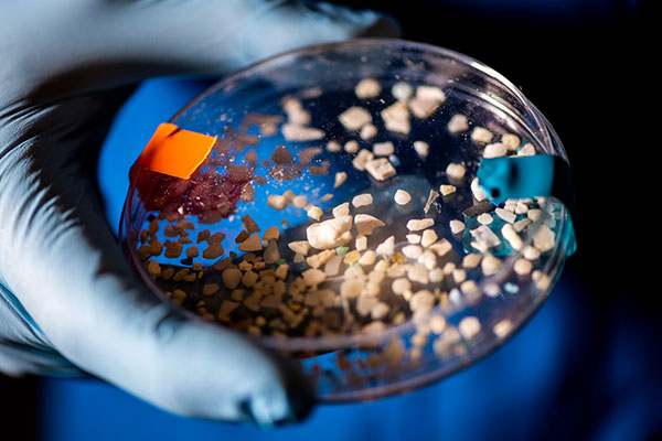 Plastics are a pervasive source of pollution. And they might also be significantly altering the Earth’s carbon cycle and our ability to monitor it, according to research by Northeastern’s Aron Stubbins. Photo by Ruby Wallau/Northeastern University