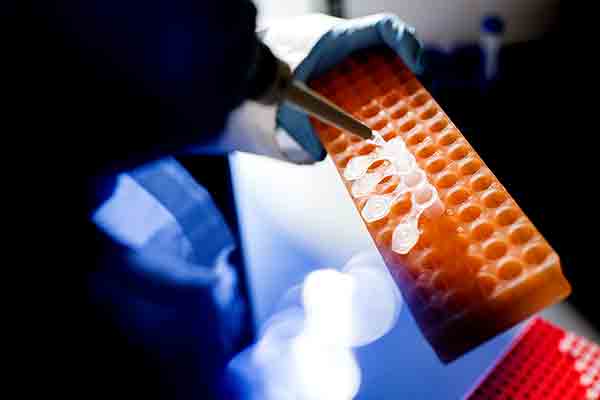 Debra Auguste has designed a drug delivery system that more effectively targets a particularly difficult-to-treat form of breast cancer and keeps it from metastasizing.