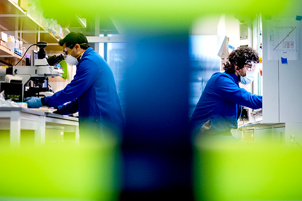 PhD students work in lab
