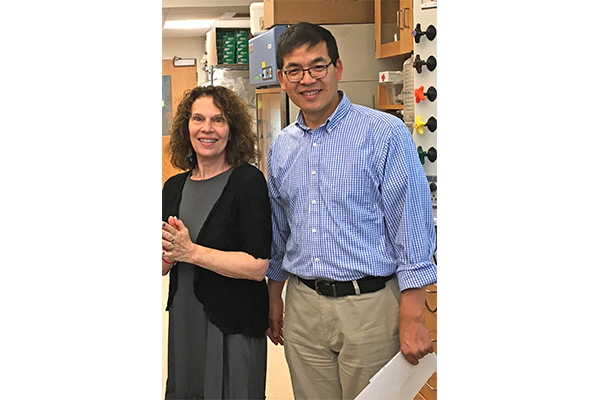 hildy grossman and nian sun