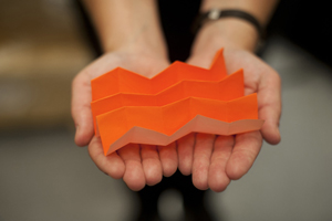 Photo by Brooks Canaday.