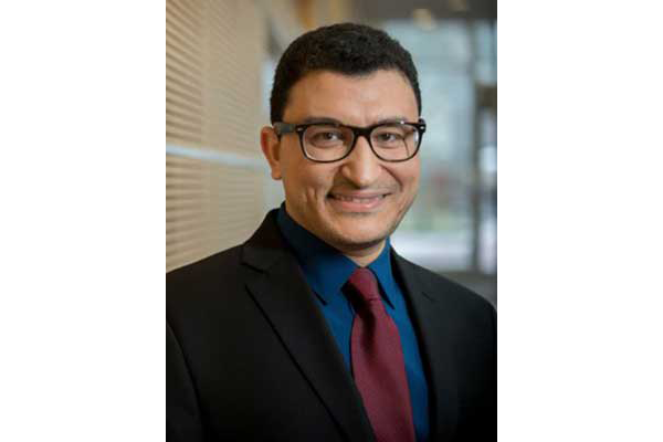 Ahmed Abdeen Hamed