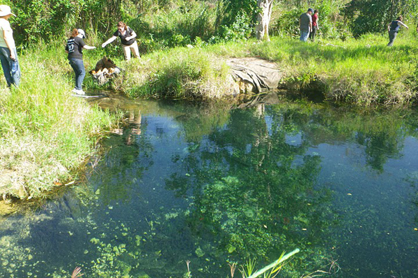 Students from University of Puerto Rico work in the field as part of the PROTECT Center's research.